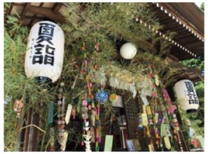 夏もうで
