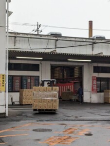 立春朝搾りは年に一度しか飲めない特別なお神酒