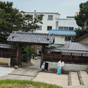 PXL_20230629_204413539